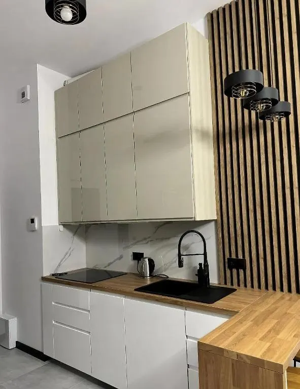 Rentpoland Wiktoryn Studio Apartment Warsaw
